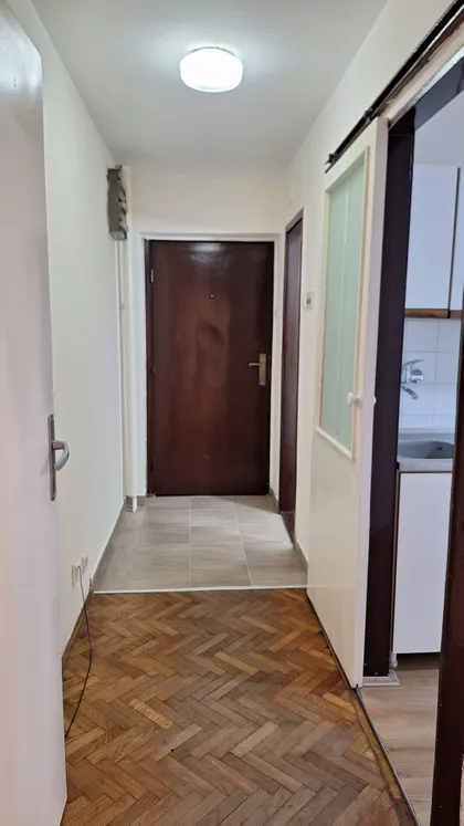 Dr Svetislava Kasapinovića | 4zida.rs