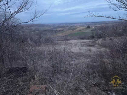 Petrovaradin | 4zida.rs