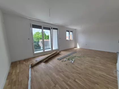 Južni Telep | 4zida.rs
