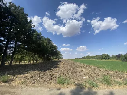 Bavaništanski Put | 4zida.rs