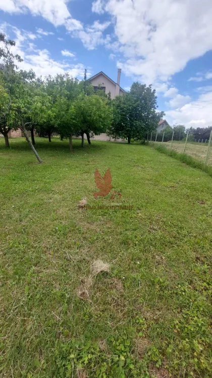 Popović | 4zida.rs