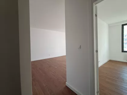 Blagoja Parovića | 4zida.rs