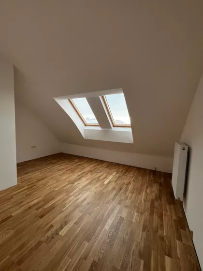 Petrovaradin | 4zida.rs