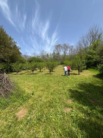 Fruškogorska | 4zida.rs