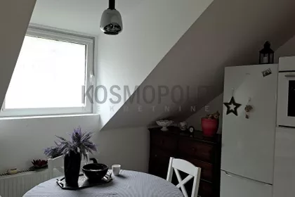 Mile Dimić | 4zida.rs