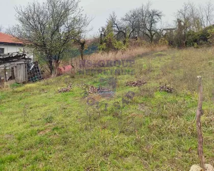 Čerević | 4zida.rs