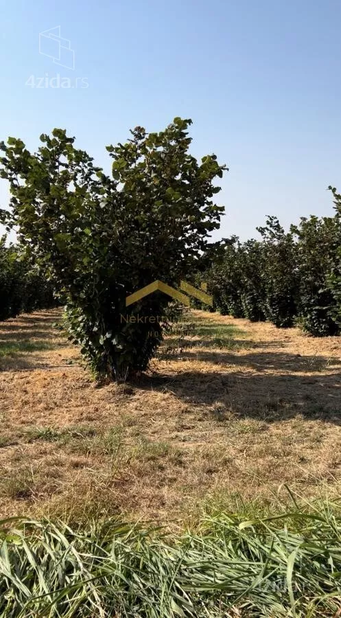 Poljoprivredno zemljište | 4zida