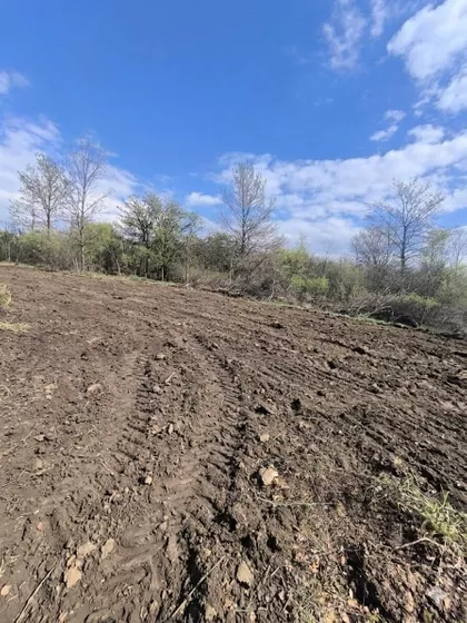 Kosmajska | 4zida.rs