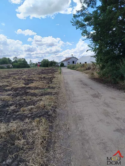 Čenej | 4zida.rs