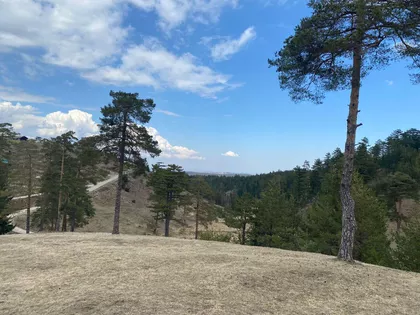 Lazara Kuzelja | 4zida.rs