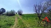 Plac | 4zida
