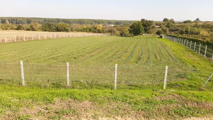 Lipovački Put | 4zida.rs