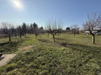 Petrovaradin, Gradske lokacije, Novi Sad | 4zida.rs