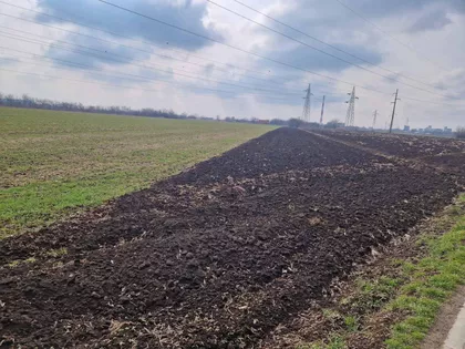 Zeleno Polje | 4zida.rs