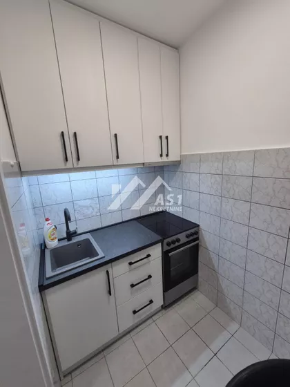 Petra Drapšina | 4zida.rs