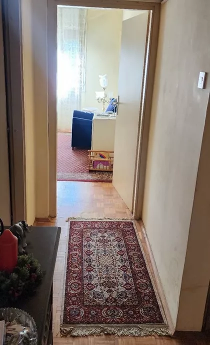 Skendera Kulenovića | 4zida.rs