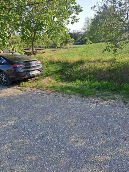 Cara Dušana Nemanjića | 4zida.rs