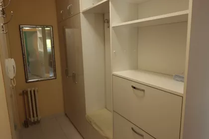 Arsenija Čarnojevića | 4zida.rs