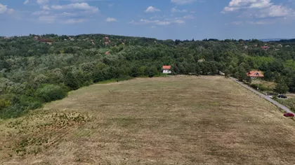 Vitomira Nikolića | 4zida.rs