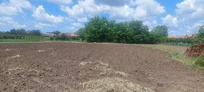 Toze Markovića | 4zida.rs
