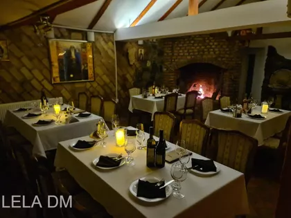 Cara Dušana | 4zida.rs