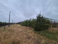 Poljoprivredno zemljište | 4zida