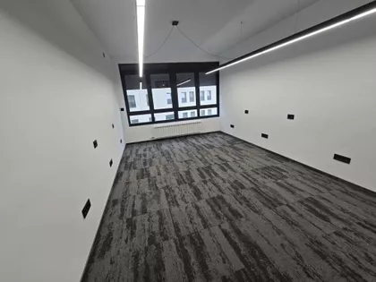 Dragoslava Srejovića | 4zida.rs