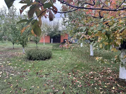 Novoseljanski put | 4zida.rs