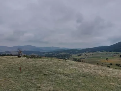 Šainovci | 4zida.rs