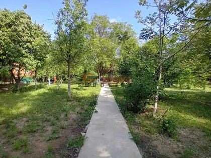 Hajdukovo | 4zida.rs