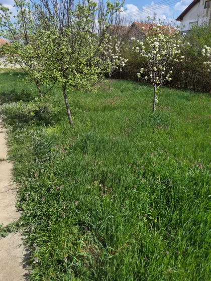 Cetinjska 23 | 4zida.rs