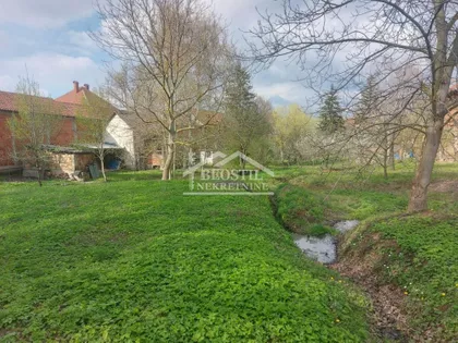 Zmaj Jovina | 4zida.rs
