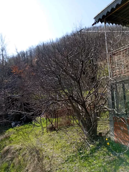 Roćevići | 4zida.rs
