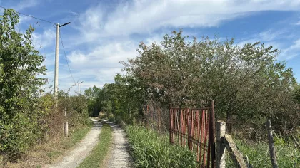 Đurđevska | 4zida.rs