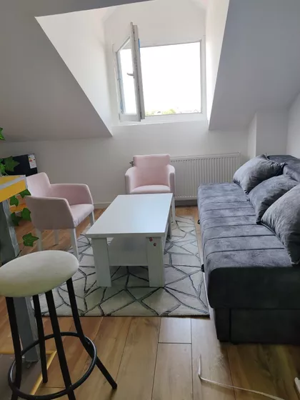 Vase Ostojića | 4zida.rs