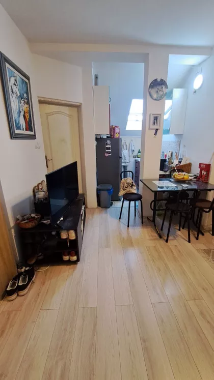 Dalmatinska | 4zida.rs