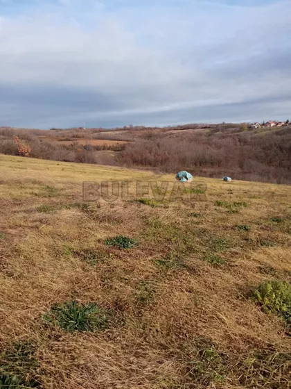 Veliko Krčmare | 4zida.rs