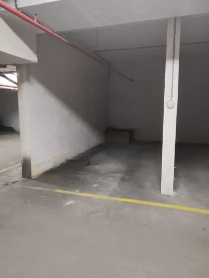 Vojvode Petka | 4zida.rs