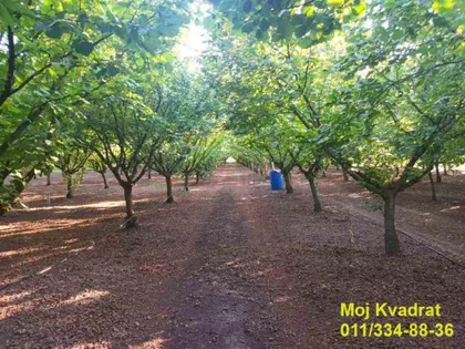 Nova Pazova | 4zida.rs