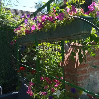 Petrovaradinsko Podgrađe - Gradić | 4zida.rs