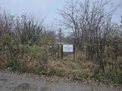 Muškatla | 4zida.rs