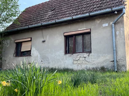 Srpski Šor | 4zida.rs