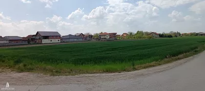 Borča | 4zida.rs