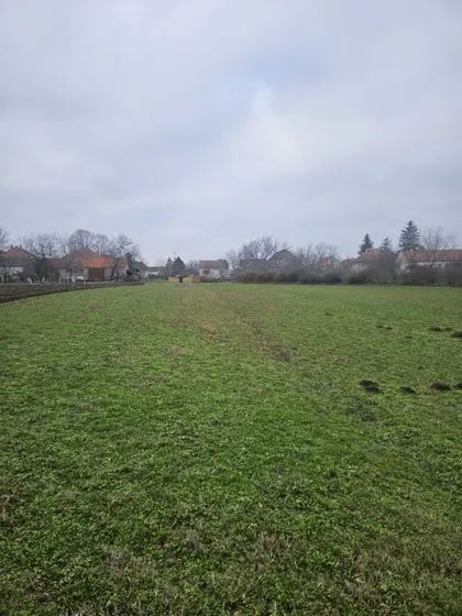 Kralja Petra Prvog | 4zida.rs