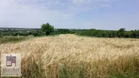 Plac | 4zida