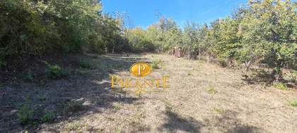 Kolonija | 4zida.rs