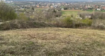 Đorđa Velića | 4zida.rs