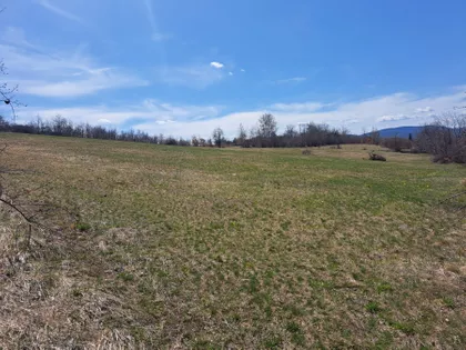 Burađska | 4zida.rs