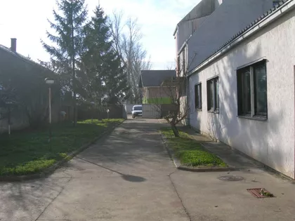 Zore Avakumović | 4zida.rs