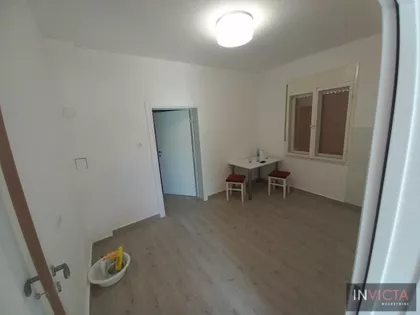 Salajka | 4zida.rs